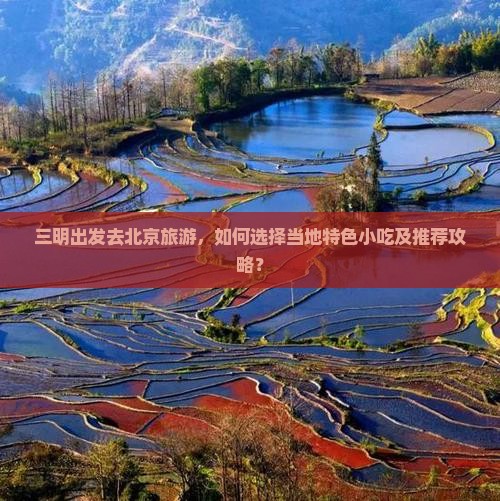 三明出发去北京旅游，如何选择当地特色小吃及推荐攻略？