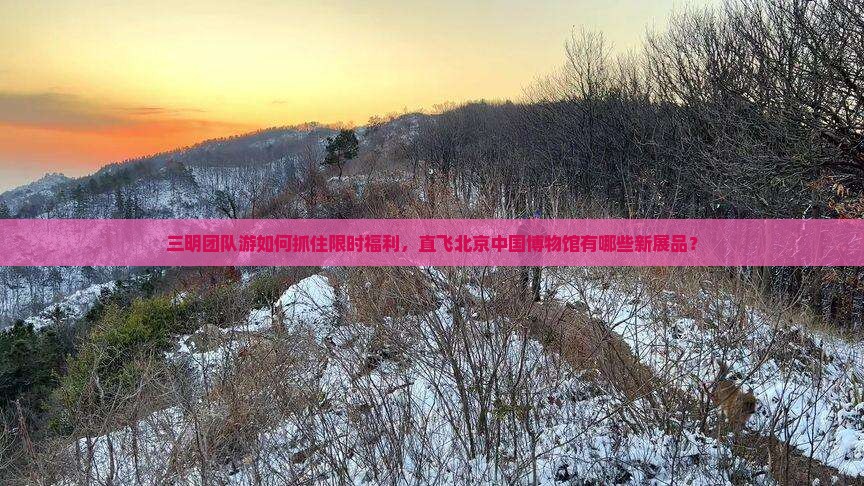 三明团队游如何抓住限时福利，直飞北京中国博物馆有哪些新展品？