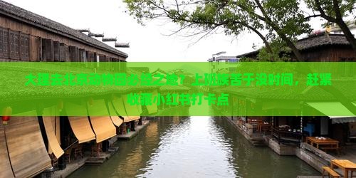 大理去北京动物园必经之地？上班族苦于没时间，赶紧收藏小红书打卡点
