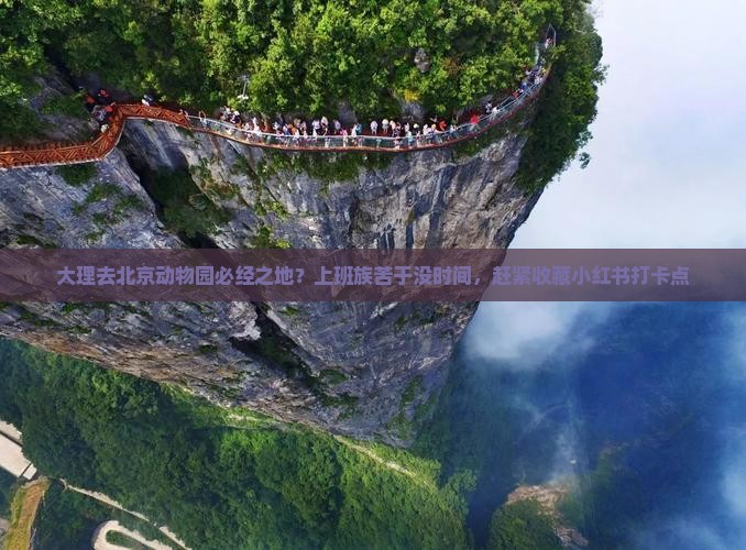 大理去北京动物园必经之地？上班族苦于没时间，赶紧收藏小红书打卡点