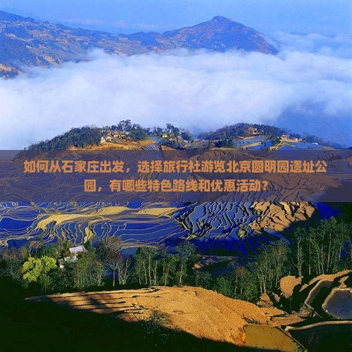 如何从石家庄出发，选择旅行社游览北京圆明园遗址公园，有哪些特色路线和优惠活动？
