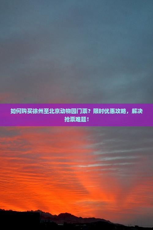 如何购买徐州至北京动物园门票？限时优惠攻略，解决抢票难题！