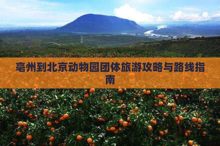 亳州到北京动物园团体旅游攻略与路线指南