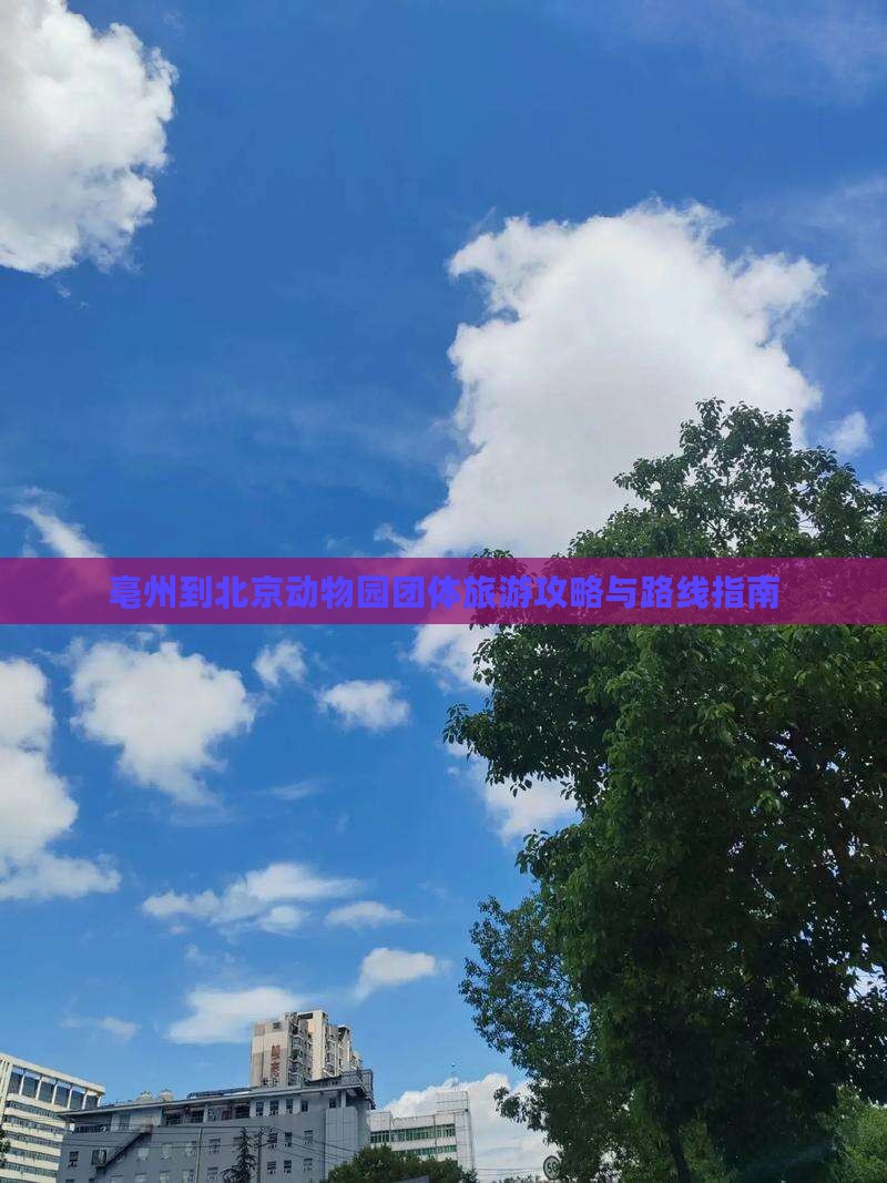 亳州到北京动物园团体旅游攻略与路线指南