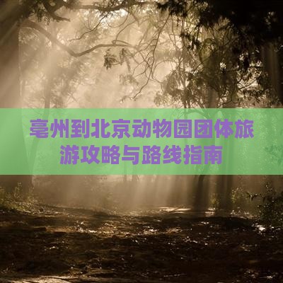 亳州到北京动物园团体旅游攻略与路线指南