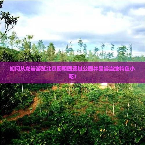 如何从龙岩游览北京圆明园遗址公园并品尝当地特色小吃？