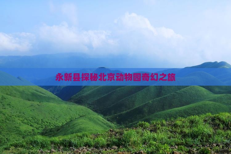 永新县探秘北京动物园奇幻之旅