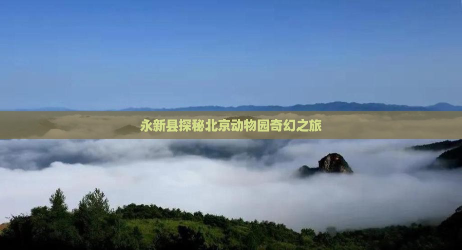 永新县探秘北京动物园奇幻之旅