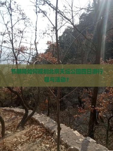 节期间如何规划北京天坛公园四日游行程与活动？
