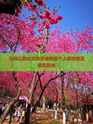 马鞍山到北京故宫博物院个人游攻略及游览路线