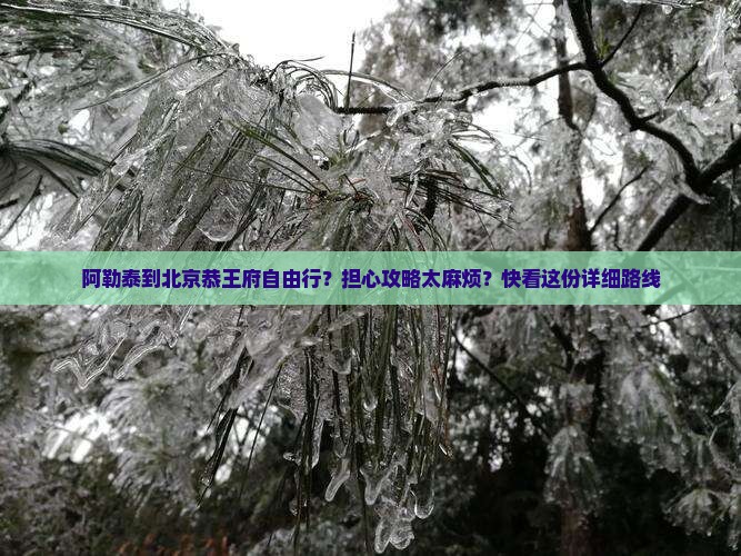 阿勒泰到北京恭王府自由行？担心攻略太麻烦？快看这份详细路线