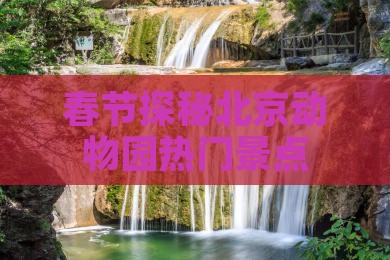 春节探秘北京动物园热门景点