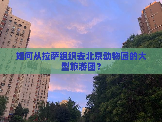 如何从拉萨组织去北京动物园的大型旅游团？