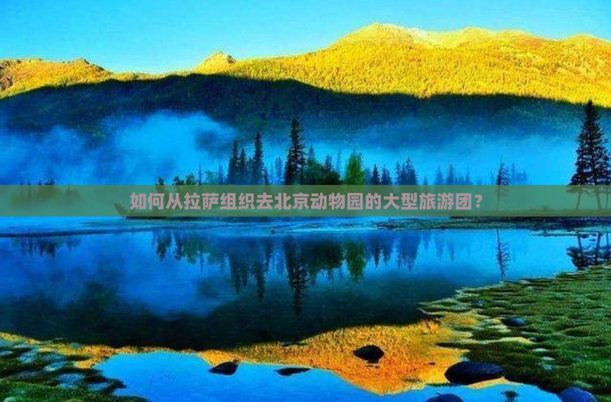 如何从拉萨组织去北京动物园的大型旅游团？