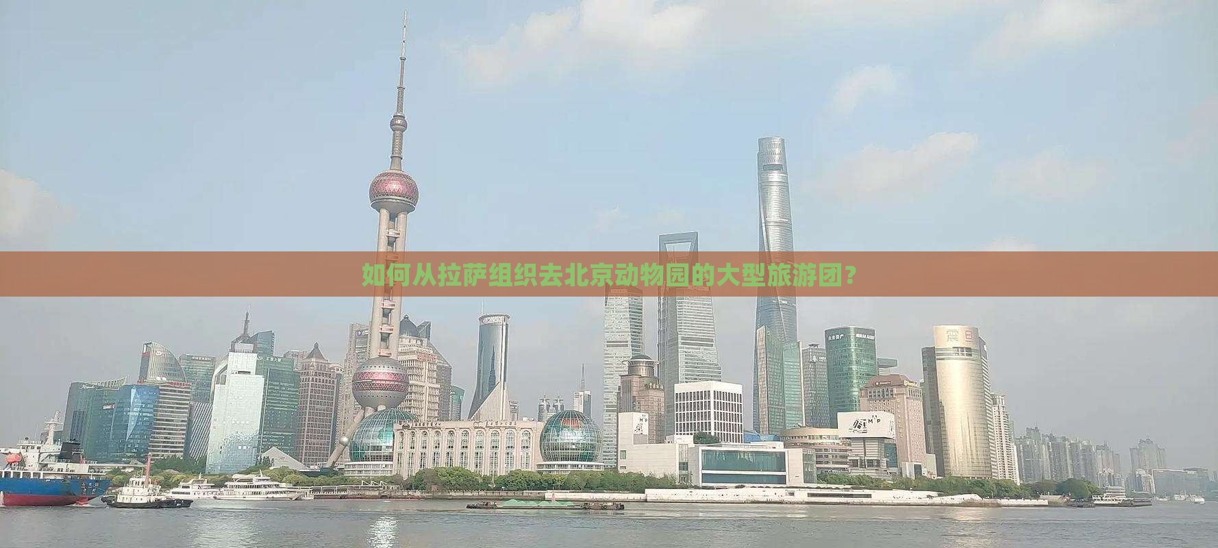 如何从拉萨组织去北京动物园的大型旅游团？