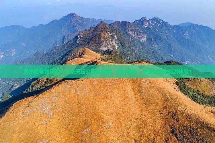 抚州游客如何加入北京天坛公园自由团，解决痛点，享受定制化旅游体验？