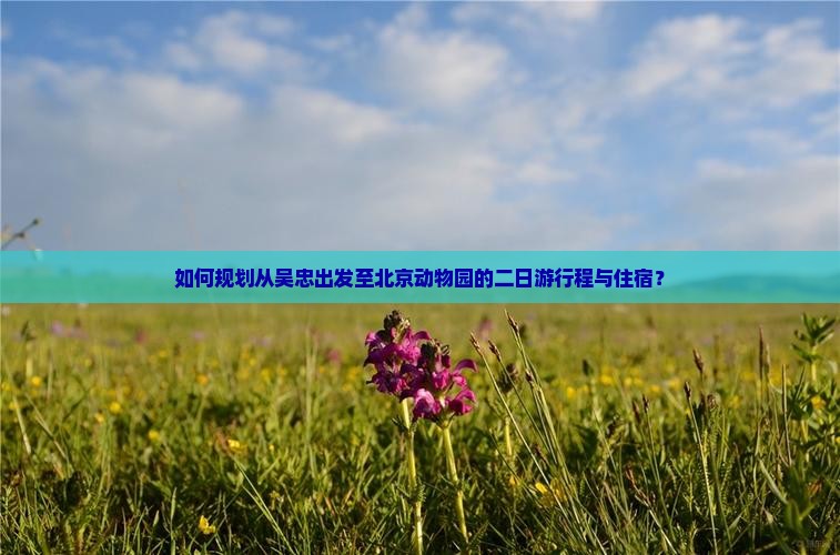 如何规划从吴忠出发至北京动物园的二日游行程与住宿？