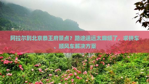 阿拉尔到北京恭王府景点？路途遥远太麻烦了，求拼车、顺风车解决方案