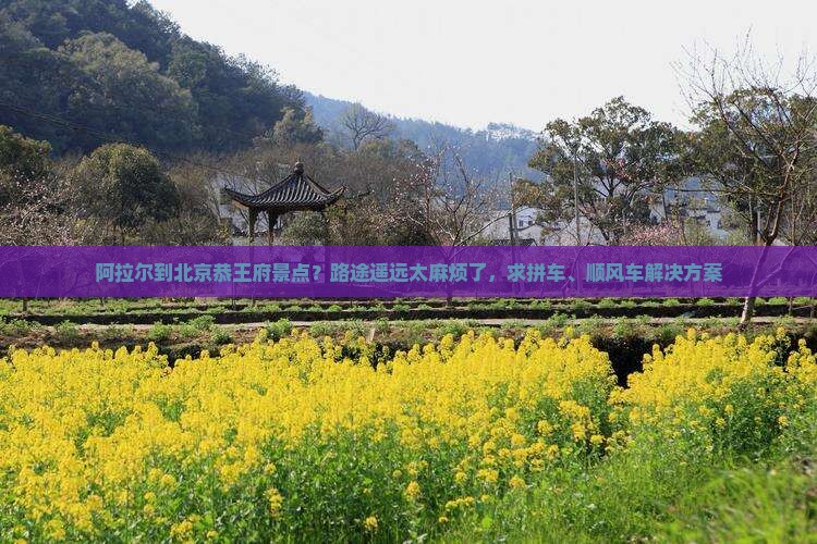 阿拉尔到北京恭王府景点？路途遥远太麻烦了，求拼车、顺风车解决方案