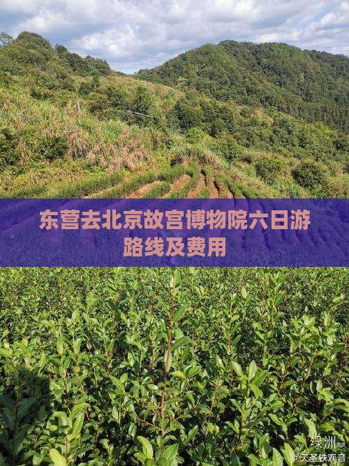 东营去北京故宫博物院六日游路线及费用