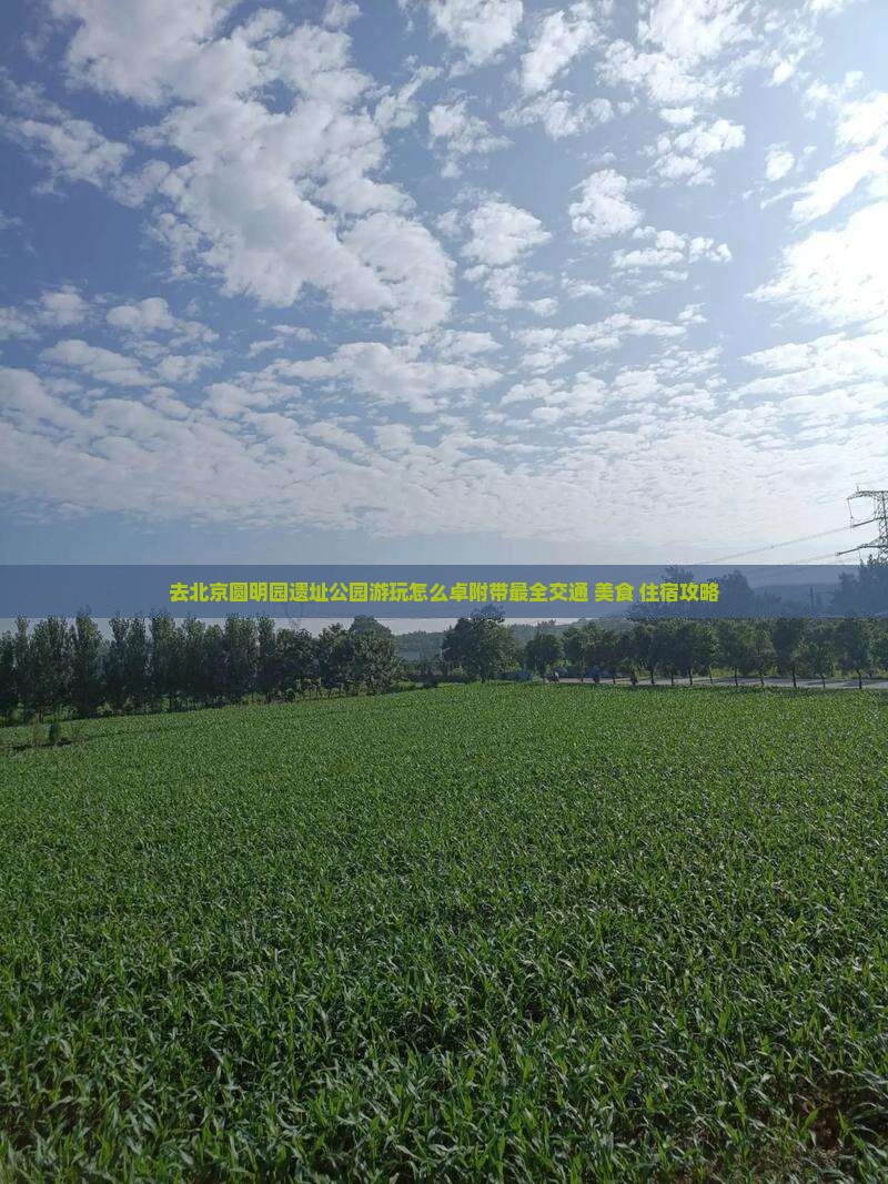 去北京圆明园遗址公园游玩怎么卓附带最全交通+美食+住宿攻略