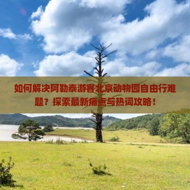 如何解决阿勒泰游客北京动物园自由行难题？探索最新痛点与热词攻略！
