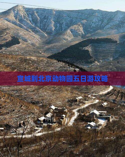 宣城到北京动物园五日游攻略