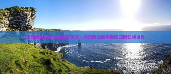 雅安到北京动物园旅游攻略：探访碧峰峡与动物园的动物世界