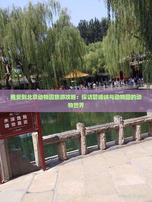 雅安到北京动物园旅游攻略：探访碧峰峡与动物园的动物世界