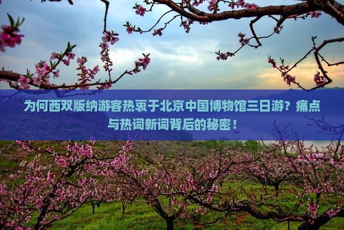 为何西双版纳游客热衷于北京中国博物馆三日游？痛点与热词新词背后的秘密！