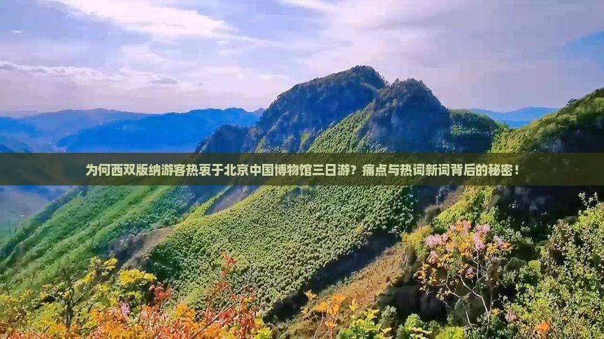 为何西双版纳游客热衷于北京中国博物馆三日游？痛点与热词新词背后的秘密！