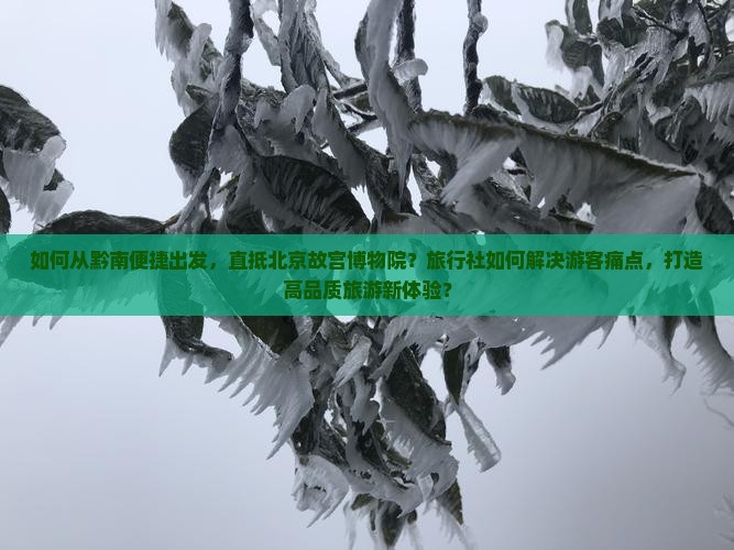 如何从黔南便捷出发，直抵北京故宫博物院？旅行社如何解决游客痛点，打造高品质旅游新体验？