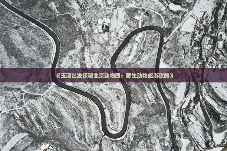 《玉溪出发探秘北京动物园：野生动物旅游攻略》
