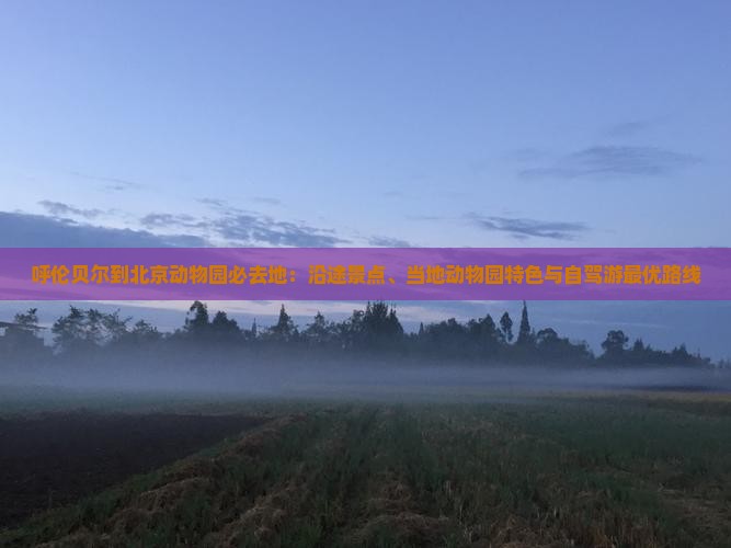 呼伦贝尔到北京动物园必去地：沿途景点、当地动物园特色与自驾游最优路线