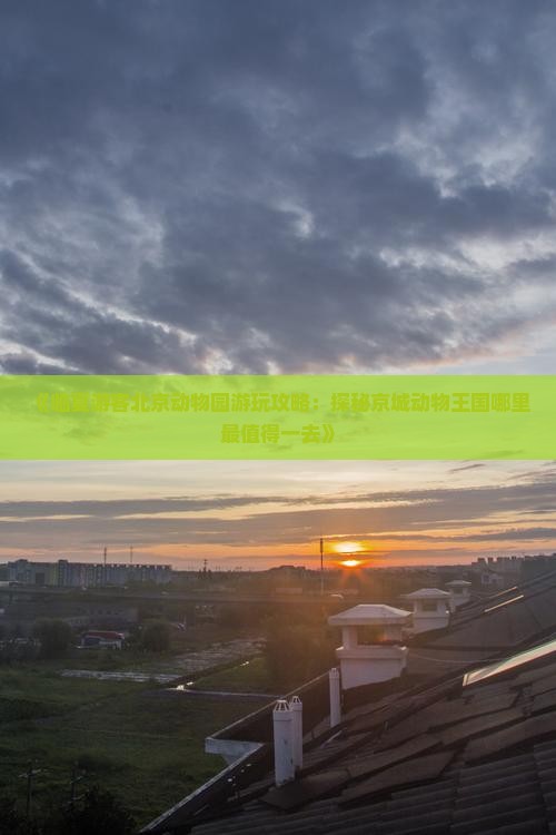 《临夏游客北京动物园游玩攻略：探秘京城动物王国哪里最值得一去》