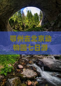 鄂州去北京动物园七日游攻略路线及费用指南