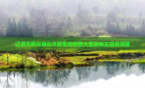 辽源市民探秘北京野生动物园大型动物主题旅游团