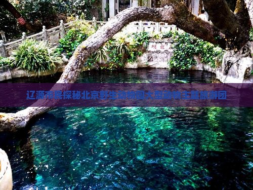 辽源市民探秘北京野生动物园大型动物主题旅游团