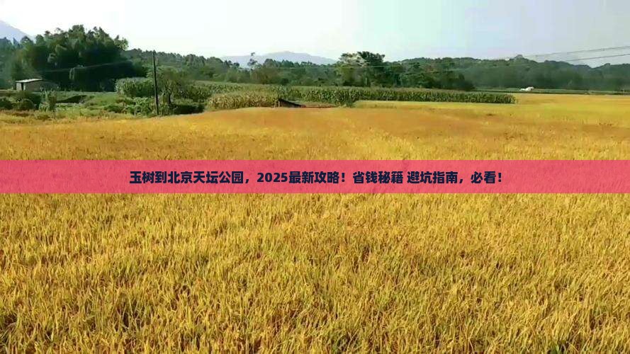 玉树到北京天坛公园攻略