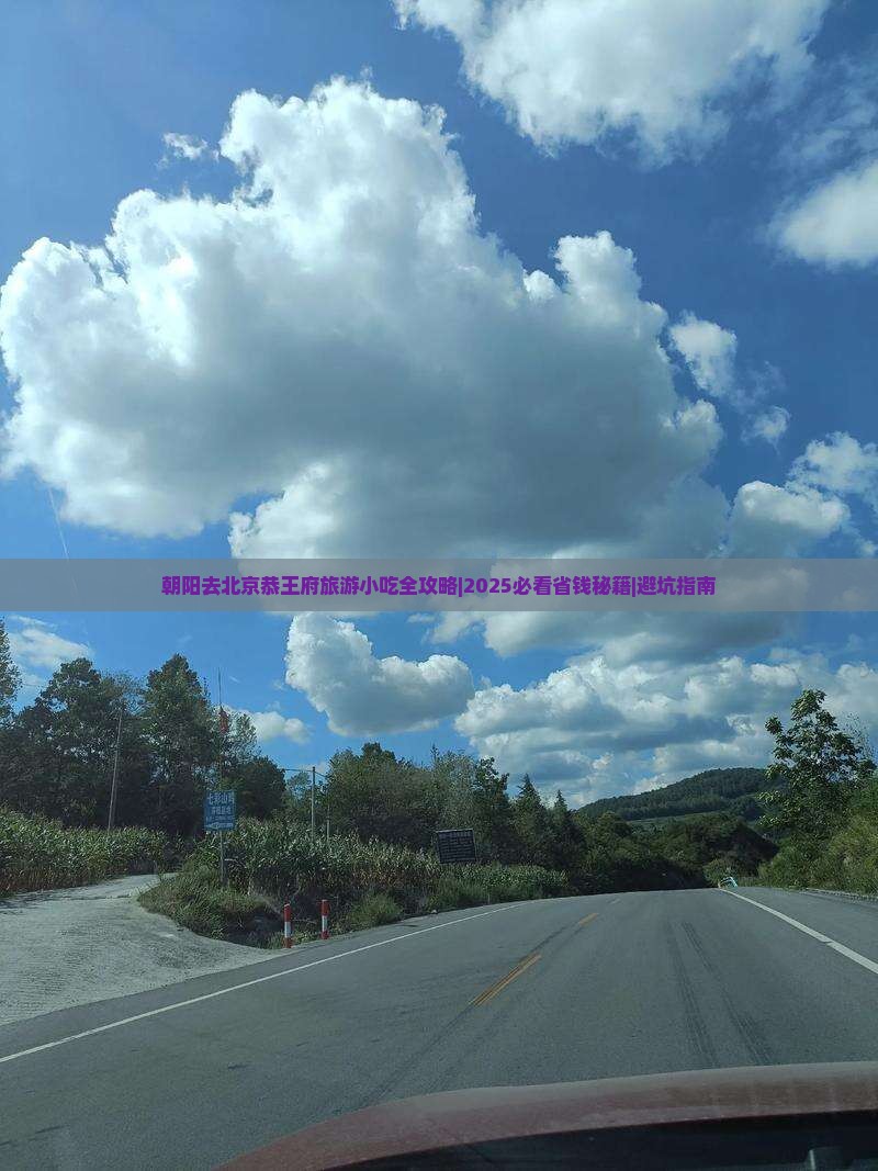 朝阳去北京恭王府旅游小吃