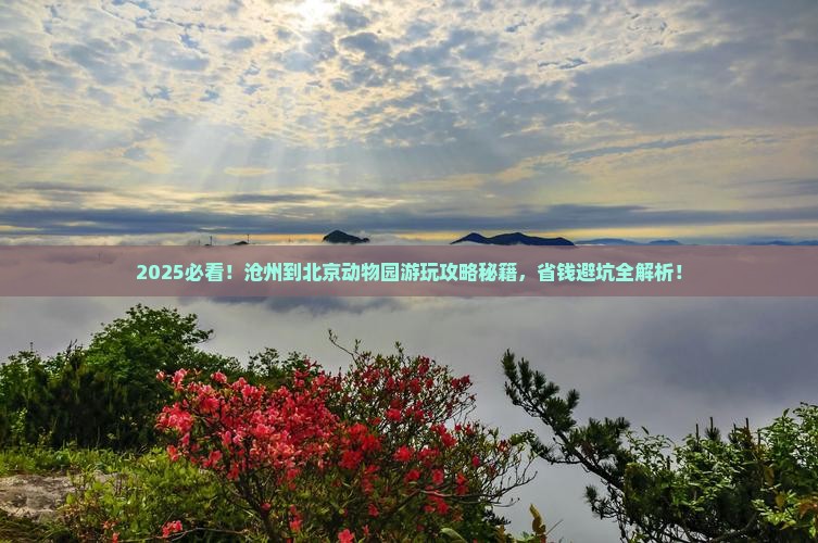 沧州到北京动物园哪里玩
