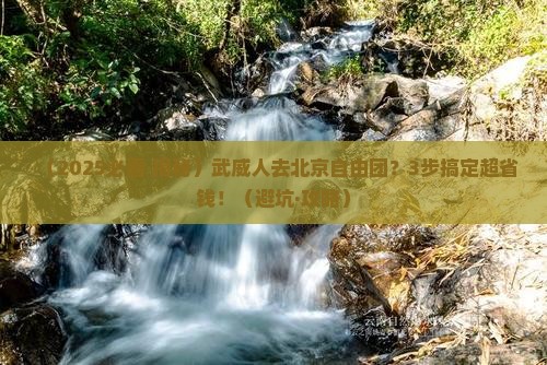 武威到北京自由团