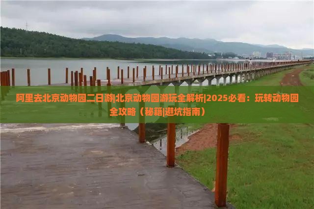 阿里去北京动物园二日游