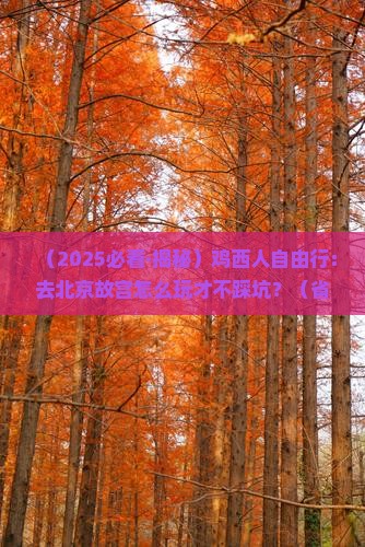 鸡西去北京故宫博物院自由行