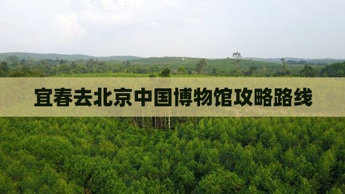 宜春去北京中国国家博物馆攻略
