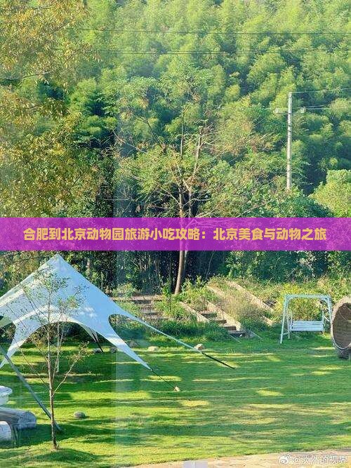 合肥到北京动物园旅游小吃