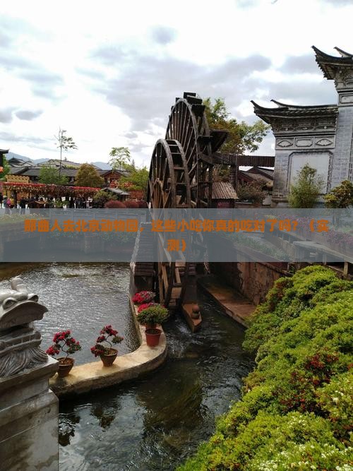 那曲去北京动物园旅游小吃