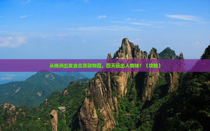 株洲到北京动物园四日游