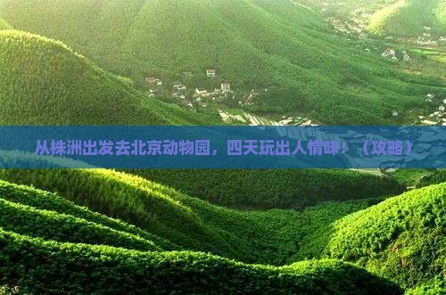 株洲到北京动物园四日游