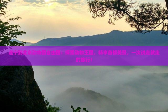 遂宁到北京动物园自由团